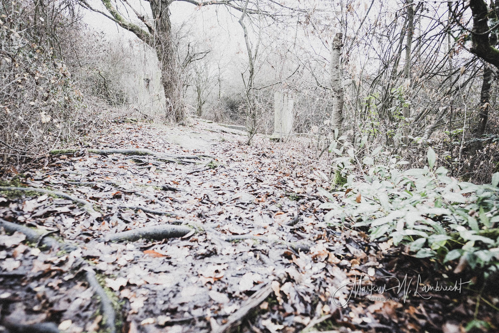 Bovenden, Jüdischer Friedhof